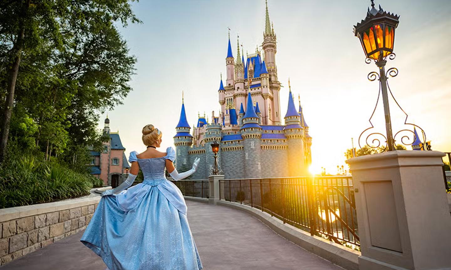 Disney y Miami - Family Plan